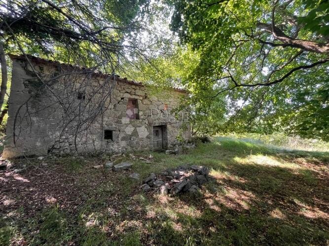 STARINA SA POTENCIJALOM ZA ODLIČAN PRIHOD - 2
