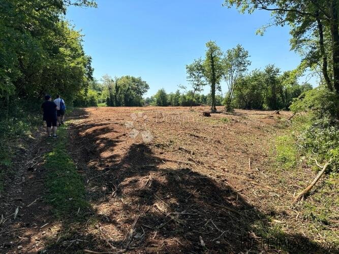 Istra – Muntić | Poljoprivredno zemljište 10.096 m2 - 3