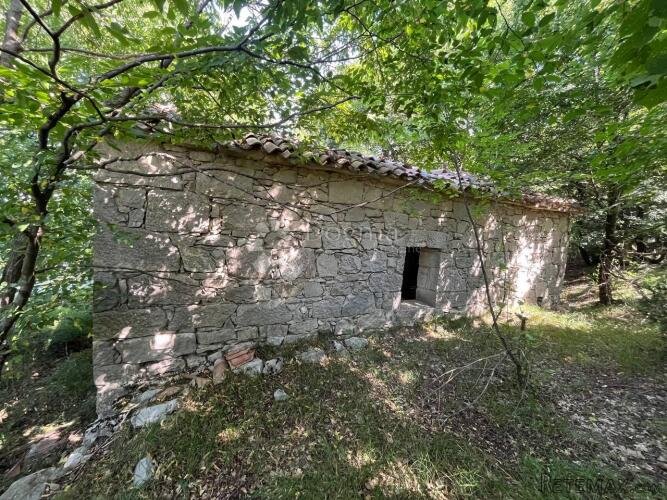 STARINA SA POTENCIJALOM ZA ODLIČAN PRIHOD - 3
