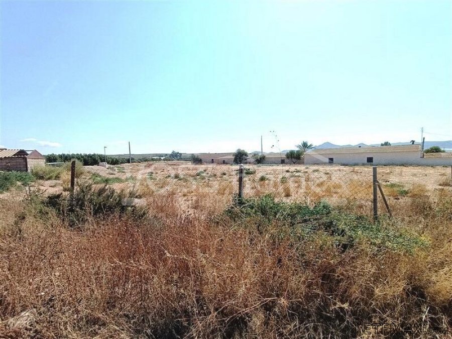 NEW LISTING - A 3 bed, 1 bath country property of 100m2.. - 5