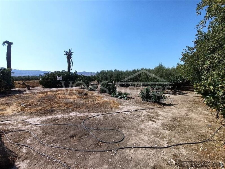 NEW LISTING - A 3 bed, 1 bath country property of 100m2.. - 7