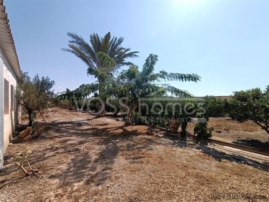 NEW LISTING - A 3 bed, 1 bath country property of 100m2.. - 8