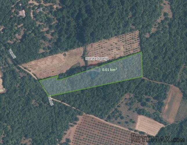 Istra, Bale - šuma 11.800 m2