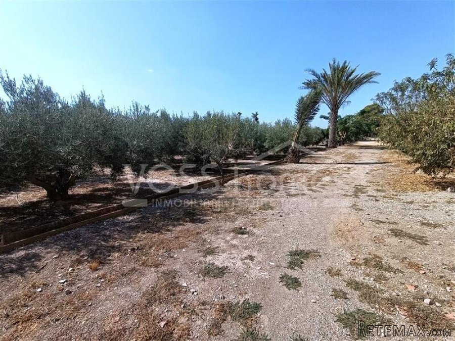 NEW LISTING - A 3 bed, 1 bath country property of 100m2.. - 9