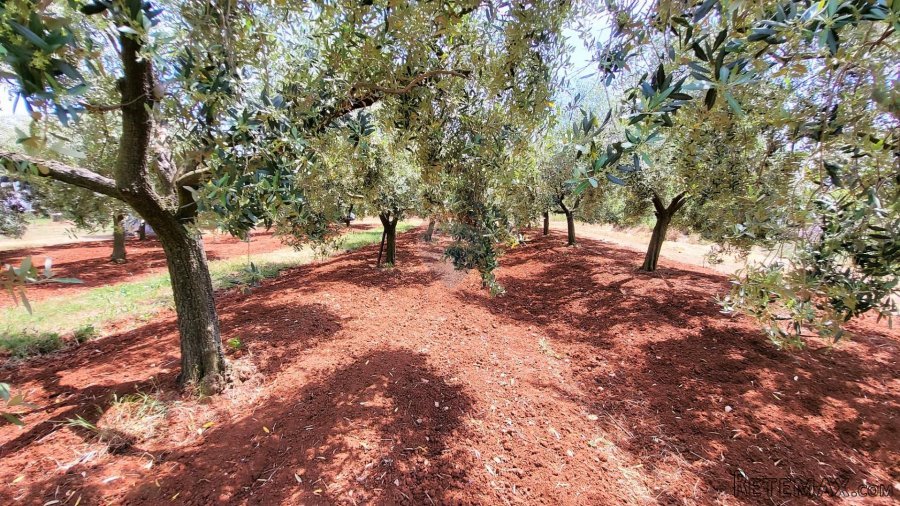 Istra, Novigrad, građevinsko zemljište