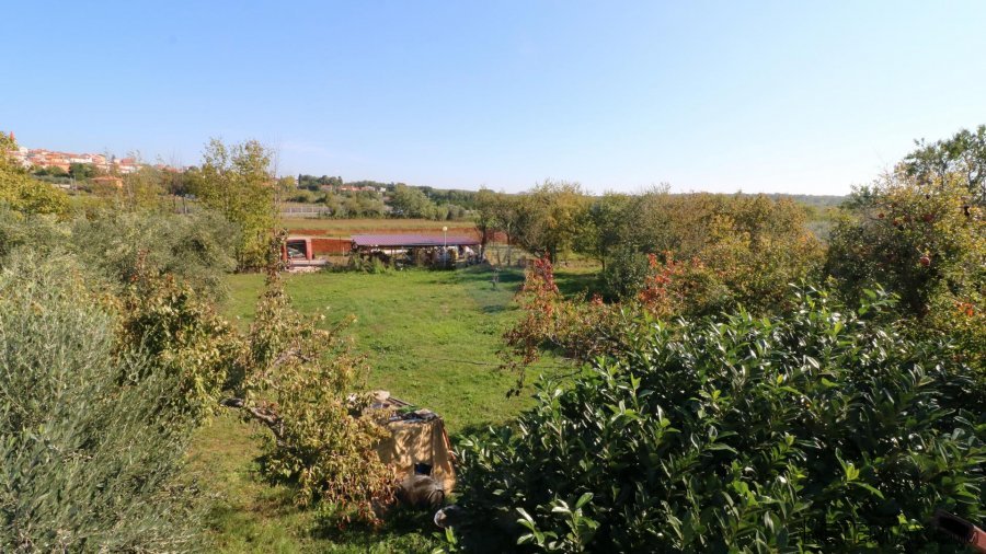 Kuća s 4000m2 okućnice - 5
