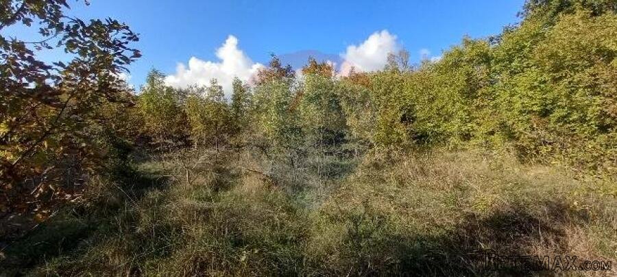 Istra,Kanfanar-građevinsko zemjlište gospodarske namjene - 2