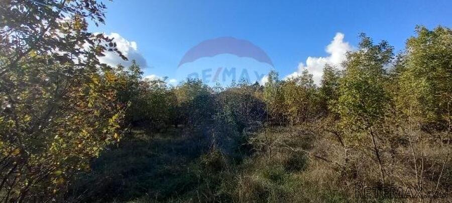Istra,Kanfanar-građevinsko zemjlište gospodarske namjene - 3