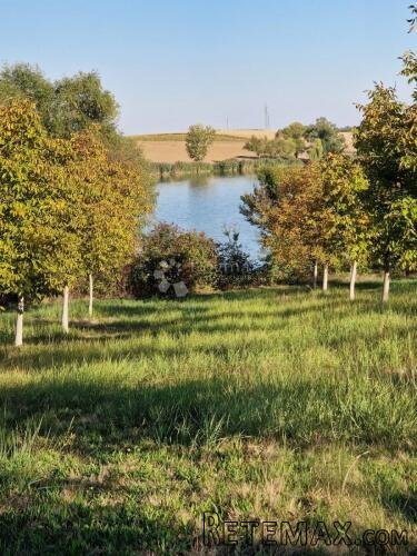 Investicija u Đakovu – 420 oraha, OPG, oranica i turističke