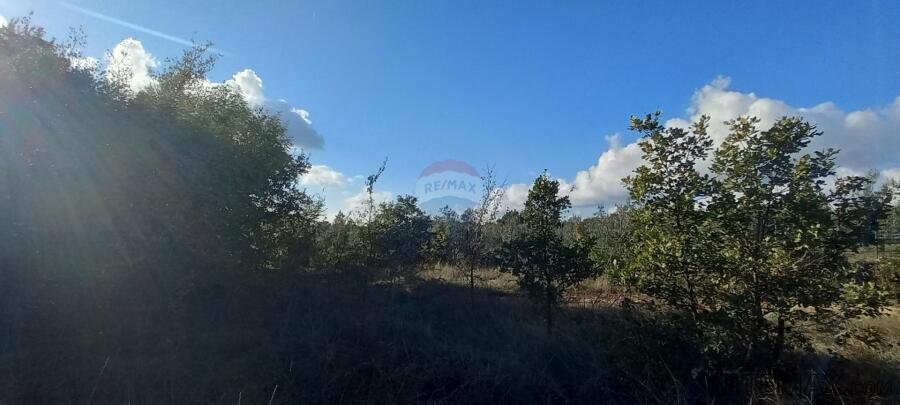 Istra,Kanfanar-građevinsko zemjlište gospodarske namjene - 4