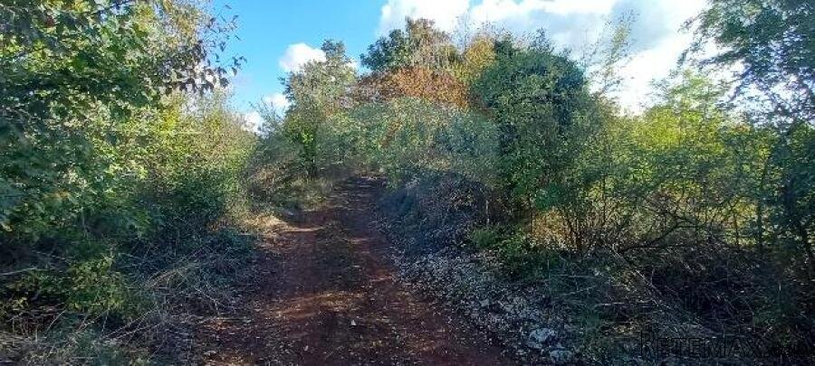 Istra,Kanfanar-građevinsko zemjlište gospodarske namjene - 8