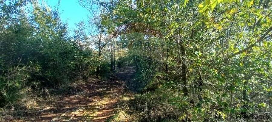 Istra,Kanfanar-građevinsko zemjlište gospodarske namjene - 9