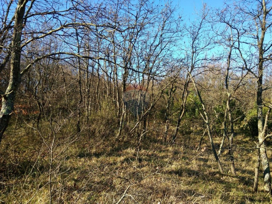 Istra, okolica Vodnjana, veliko poljoprivredno zemljište - 2 - 2