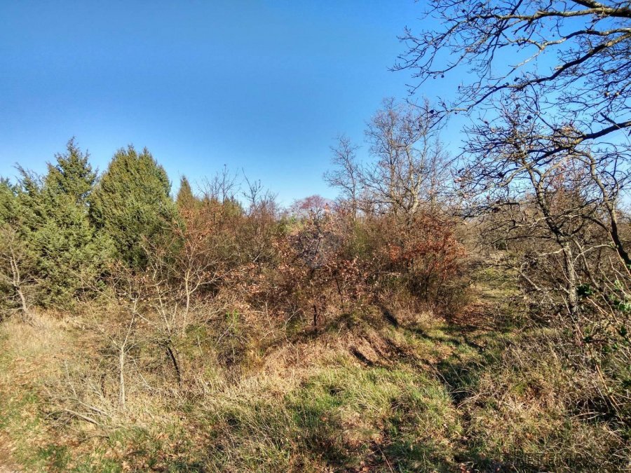 Istra, okolica Vodnjana, veliko poljoprivredno zemljište - 2 - 3