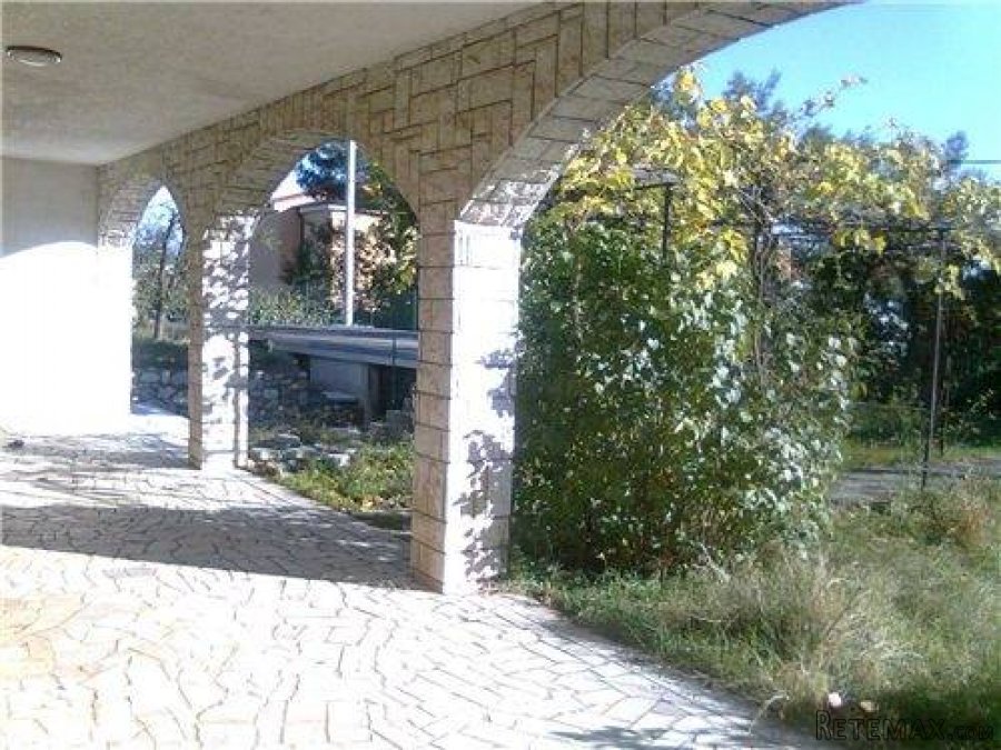 Kuća sa tri stana i 1000 m2 terena - 6