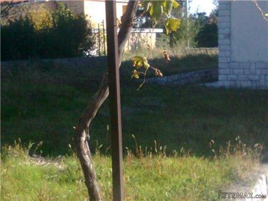 Kuća sa tri stana i 1000 m2 terena - 8