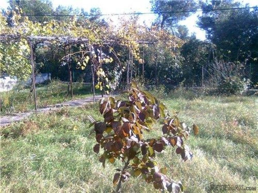 Kuća sa tri stana i 1000 m2 terena - 10
