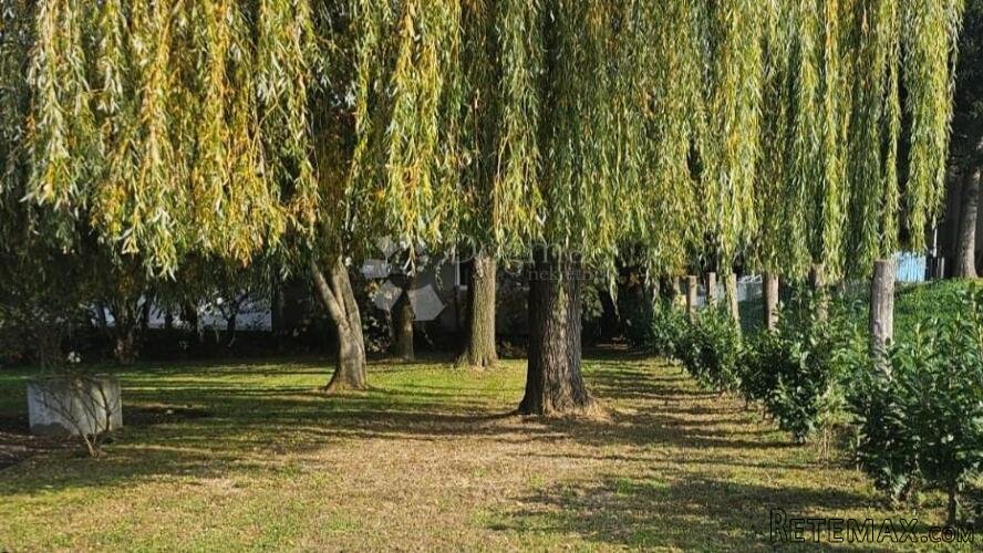 Dvije površine – jedna prilika! - 2