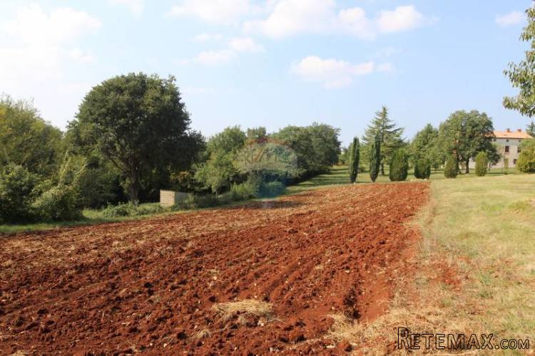 KAŠTELIR, BLIZINA,LIJEPA I UREDNA PARCELA NA MIRNO MJESTU - 2