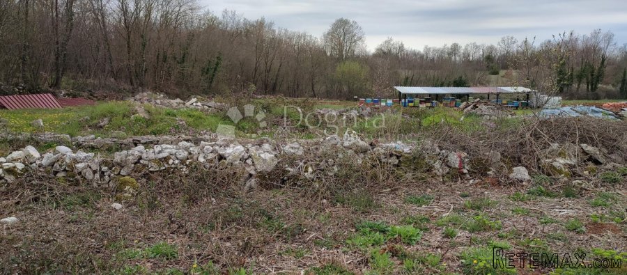 Žužići, Istra - teren 1025m2 za villu, obiteljsku kuću - 2