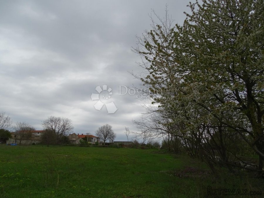 Žužići, Istra - teren 1025m2 za villu, obiteljsku kuću - 3