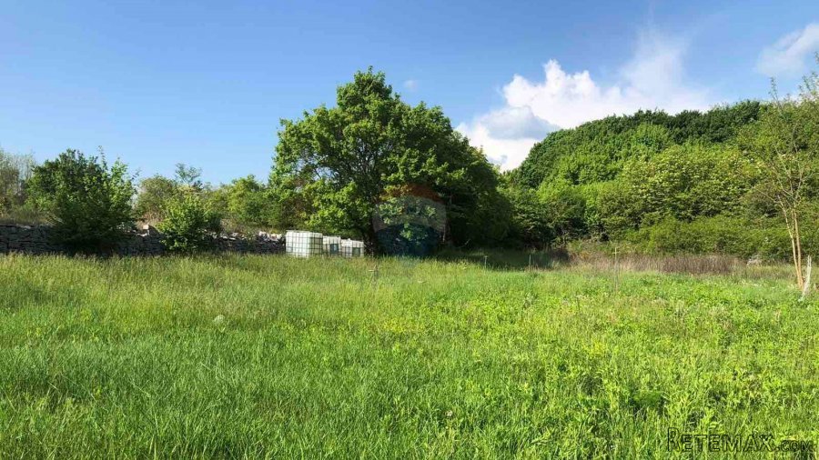 Istra, Tinjan, poljoprivredno zemljište 3928 m2