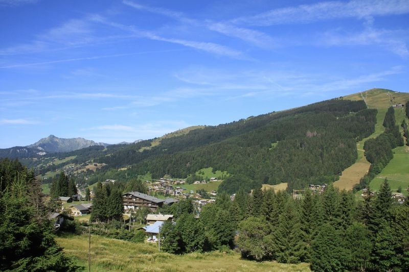 4 Bedroom Chalet, Les Gets Call For..