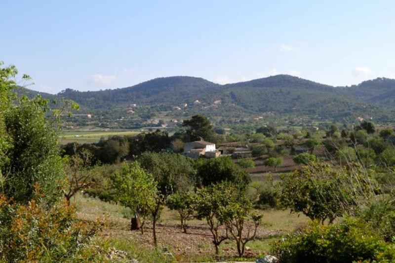 Beautiful plot with various ruins to..