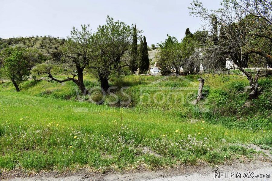 NEW LISTING - A traditional spanish two storey Country.. - 5