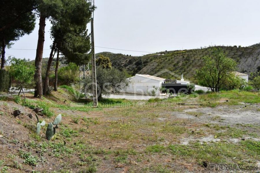 NEW LISTING - A traditional spanish two storey Country.. - 6