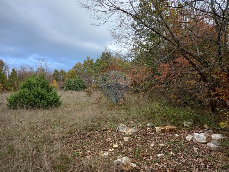 Istra,Krnica- poljoprivredno zemljište u blizini mjesta i is - 2