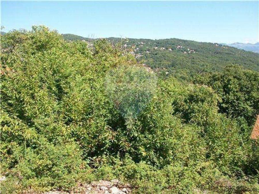 LOVRAN-OPRIĆ- 8000m2 TERENA SA POGLEDOM - 2