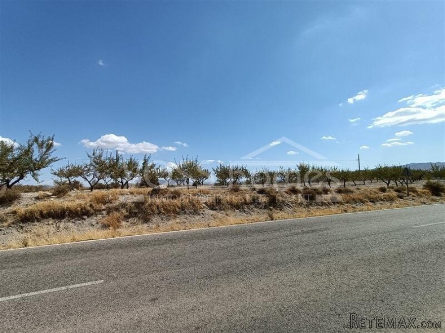 NEW LISTING - Plots of rustic land with almond trees for.. - 2