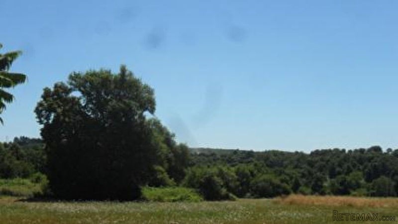 5 Bed B&B + 3 Bed Farmhouse ; 2 Barns;.. - 2