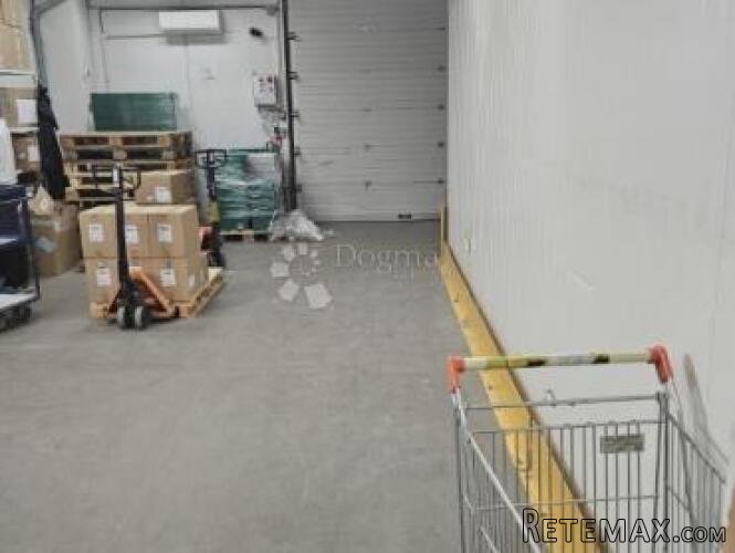 HALA OD 650 M2 ( MOGUĆE 1100 m2 NA ODLIČNOJ POZICIJI - 3