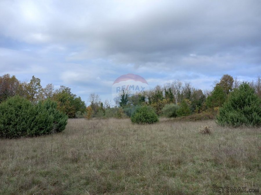 Istra,Krnica- poljoprivredno zemljište u blizini mjesta i is - 3