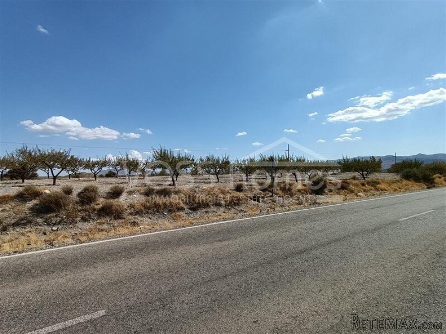 NEW LISTING - Plots of rustic land with almond trees for.. - 3