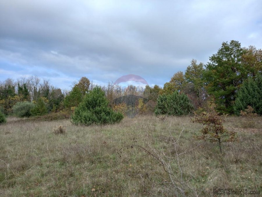 Istra,Krnica- poljoprivredno zemljište u blizini mjesta i is - 4