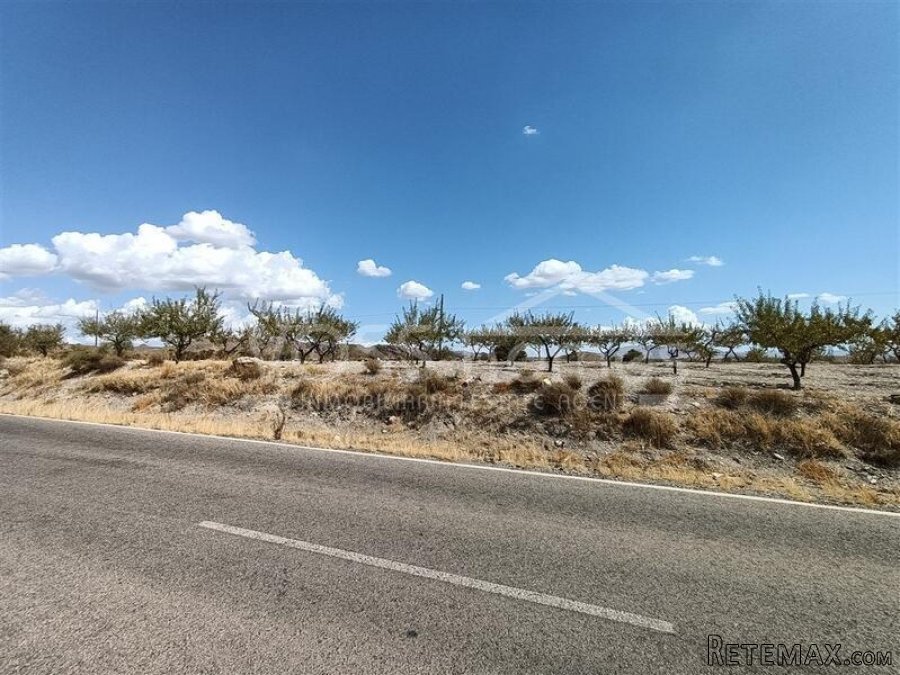NEW LISTING - Plots of rustic land with almond trees for.. - 4