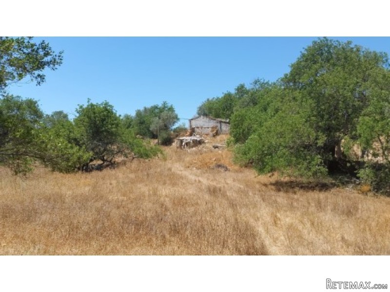Plot Of 1 Hectare , Built 380 Sqm. Nice..
