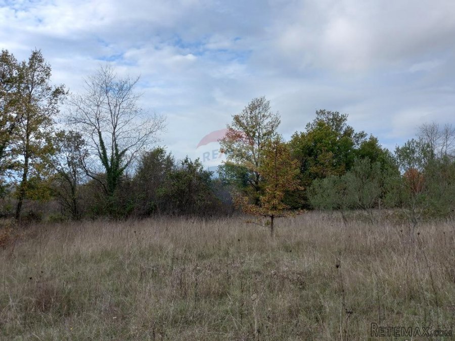 Istra,Krnica- poljoprivredno zemljište u blizini mjesta i is - 9
