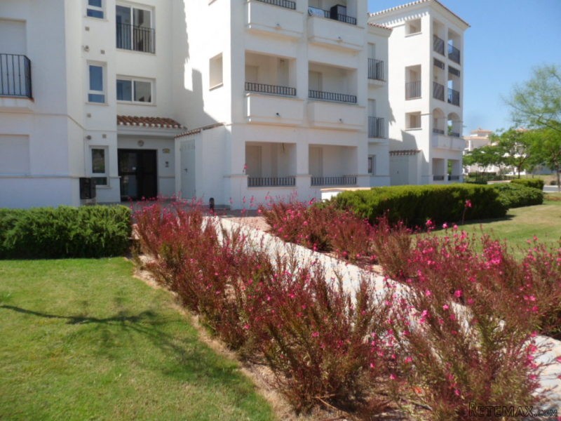 2 bedroom, 1 bathroom Apartment