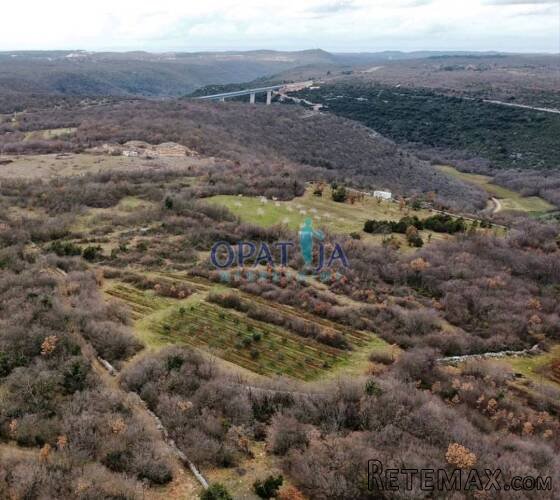 Istra - apsolutna prilika - 2 male kuće sa ukupno 21700 m2 - 2