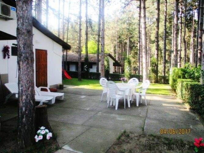 Odmor u Vincima, na Dunavu, u borovoj šumi, povoljno - 3