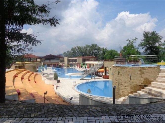 Odmor u Vincima, na Dunavu, u borovoj šumi, povoljno - 4