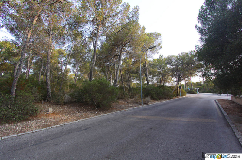 Building Land With License In Cala.. - 2