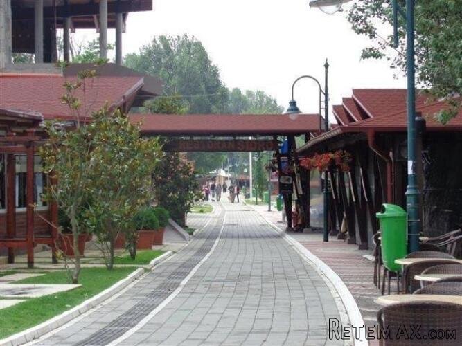 Odmor u Vincima, na Dunavu, u borovoj šumi, povoljno - 8