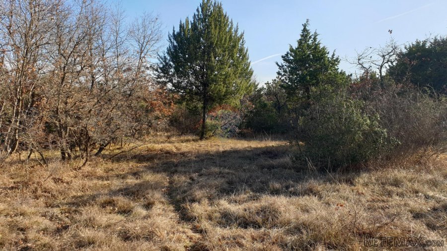 Istra, Juršići - poljoprivredno zemljište 19770 m2
