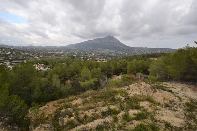 V1572 - Land Plot Located In Rafalet -.. - 2