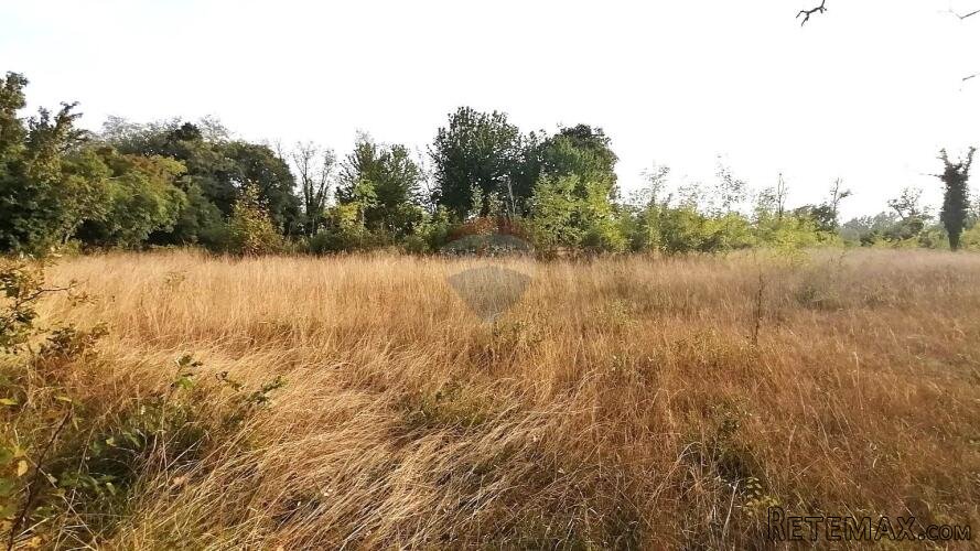BADERNA, okolica- građevinsko zemljište stambene namjene - 2